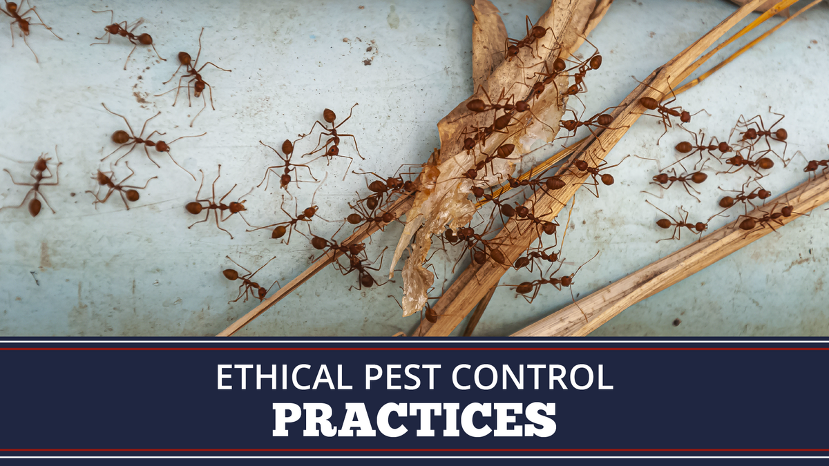 Ethical Pest Control Practices | Faith Environmental Crime Scene Cleanup