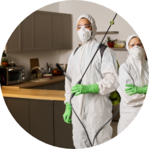 photo of professional suited cleaners